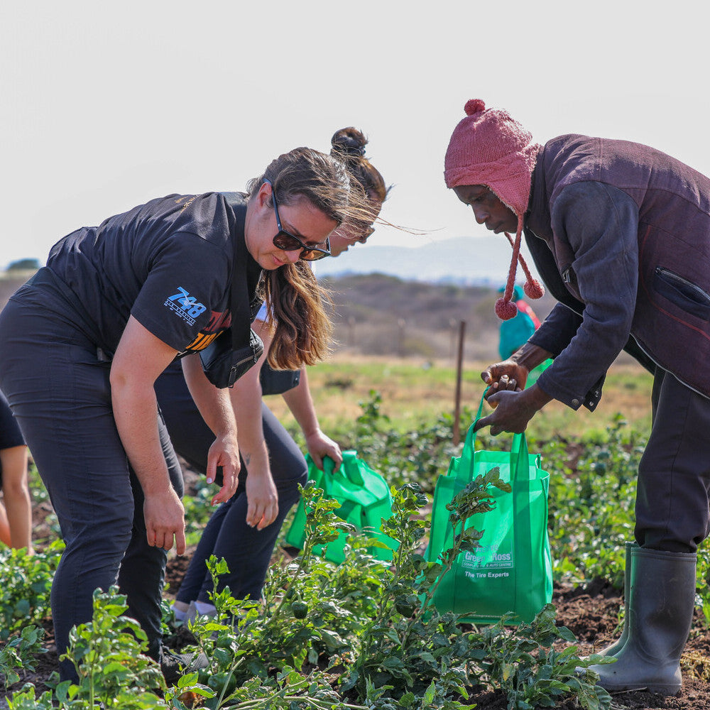 Sustainability Program