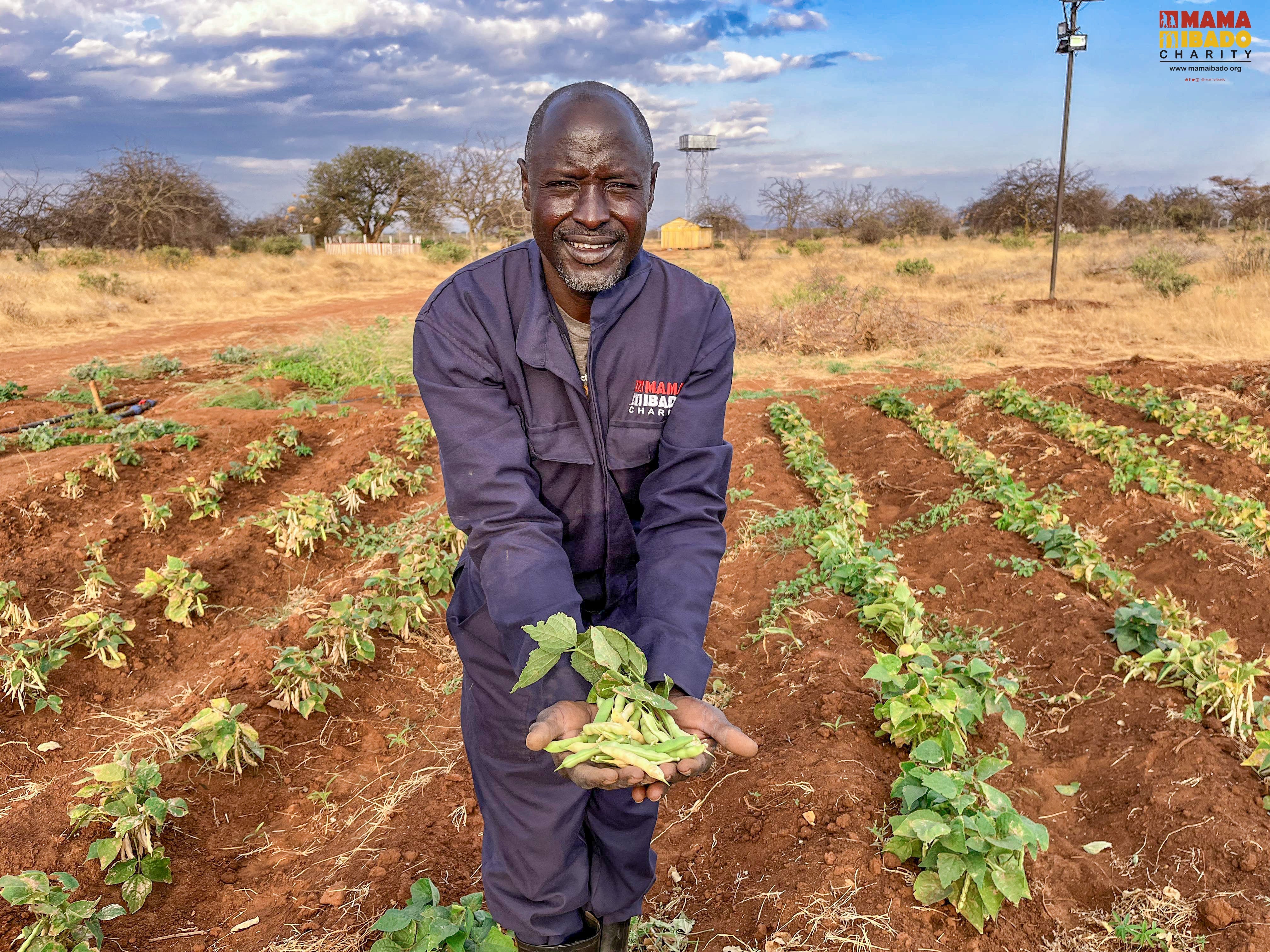 Agriculture