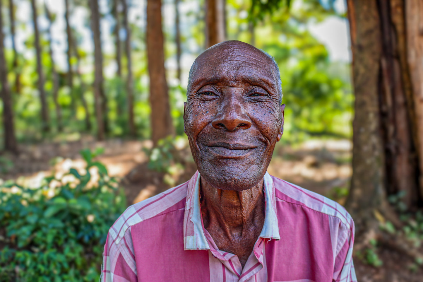 Kitonye Alexander Ngayo